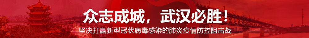 2020武漢設計日暨武漢設計發布盛典舉行 火神山雷神山醫院設計建設獲至高榮譽